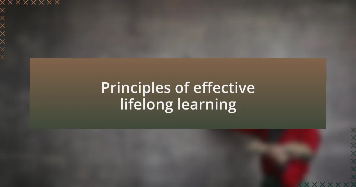 Principles of effective lifelong learning