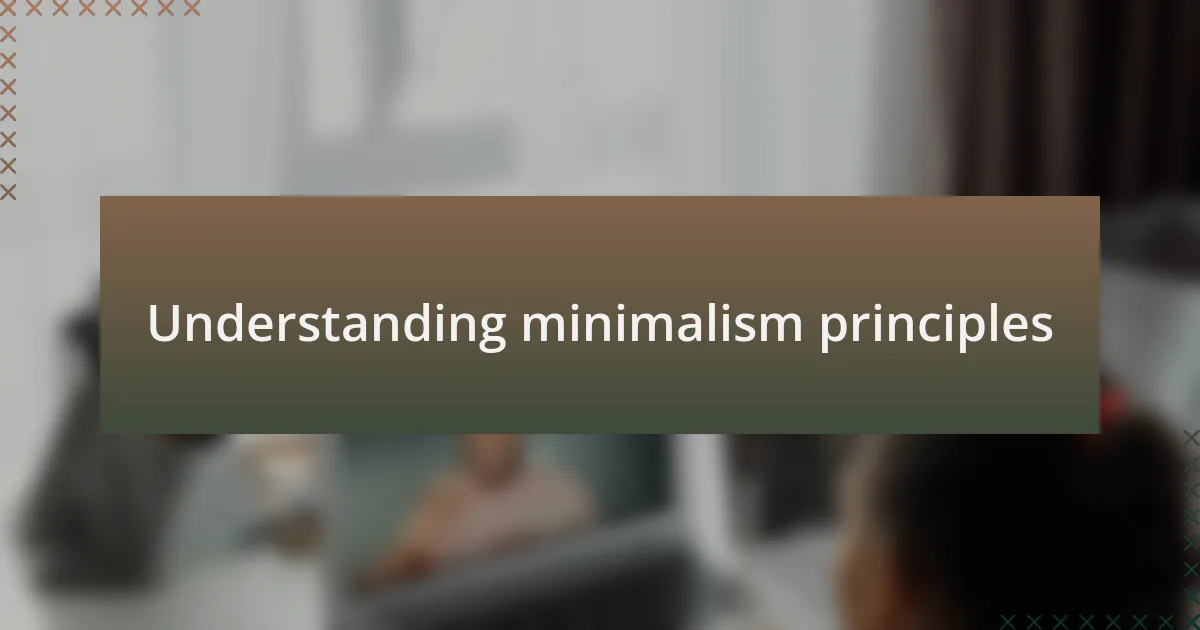 Understanding minimalism principles